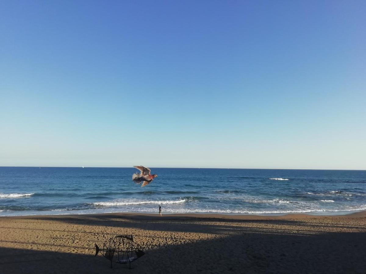 Apartamento-Estudio Benalmadena Maite-3 エクステリア 写真